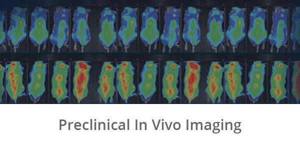 Research Platforms_Preclinical In Vivo Imaging