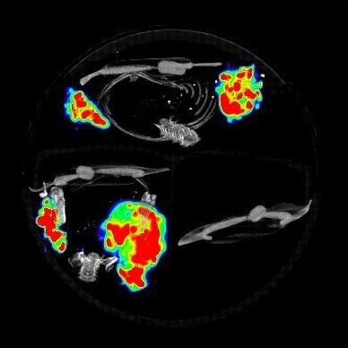 spect-ct spect-ct